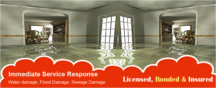 Water Damage Services